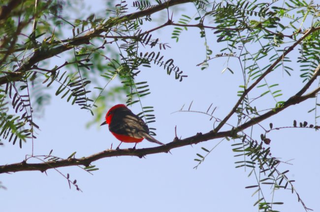 foto:Juan Pablo Mares Muñoz   - lo hecho en México
