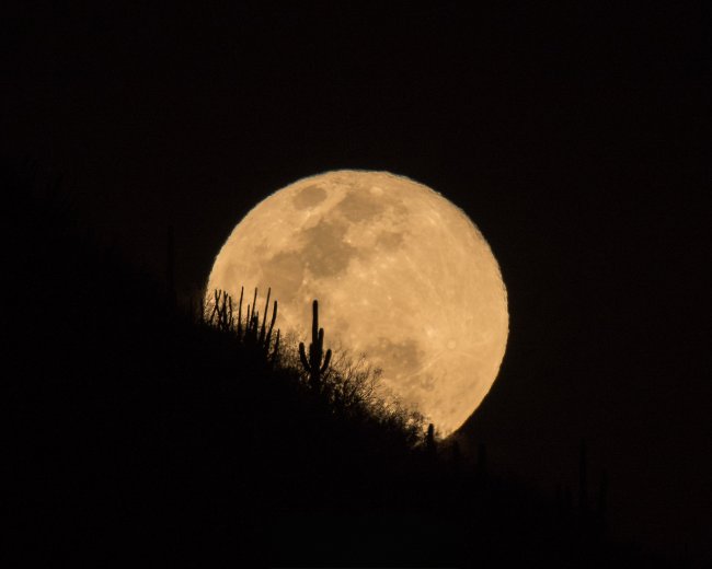 foto:César Zahin González Soto   - lo hecho en México