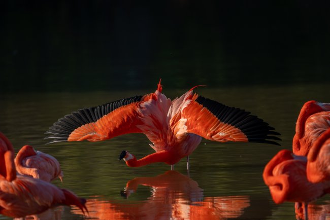 foto:Juan Diego Beltran Cetina  - lo hecho en México