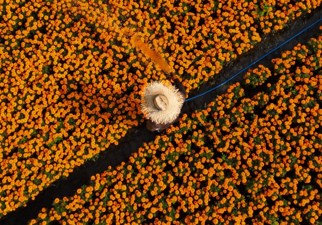 foto:Fabio Chiari   - lo hecho en México