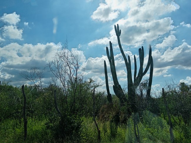 foto:Yuridia Carolina Sauceda Hurtado   - lo hecho en México