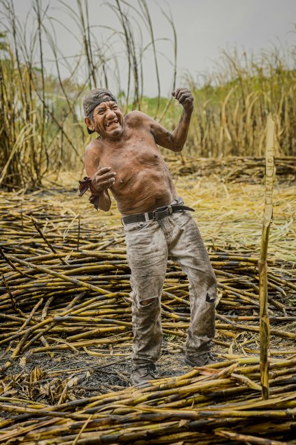 foto:Adán Reyes Reyes  - lo hecho en México