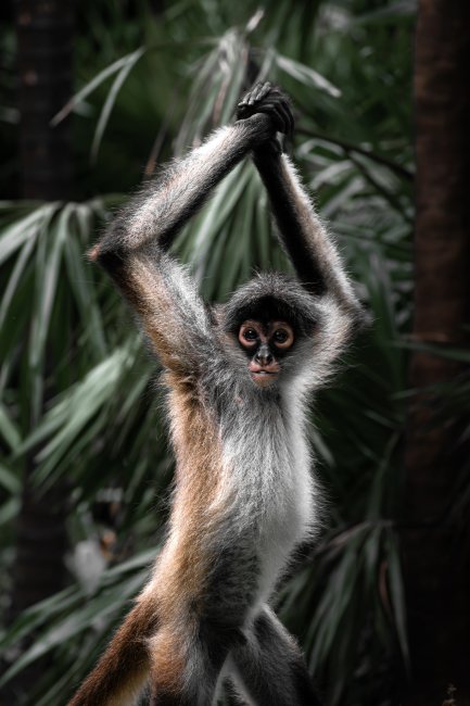 foto:Ricardo José Medina Medina  - lo hecho en México