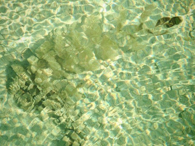 foto:Rodolfo sanchez  - lo hecho en México