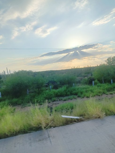 foto:Juana Cecilia Nolasco Jaime   - lo hecho en México