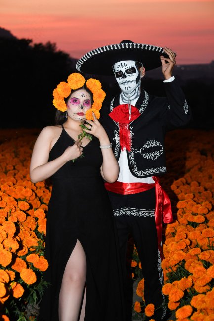 foto:ALBA ELENA ARCE ZAMORA  - lo hecho en México