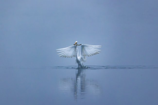 foto:Rafael León Madrazo  - lo hecho en México