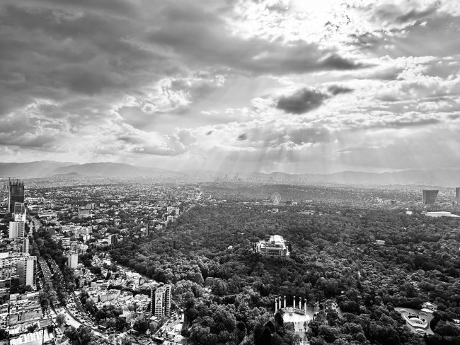 foto:Daniel Coulomb   - lo hecho en México