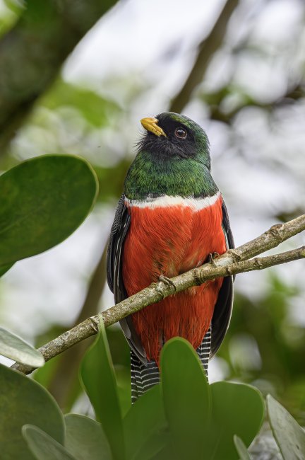 foto:Eduardo David Alvarez Camarena  - lo hecho en México