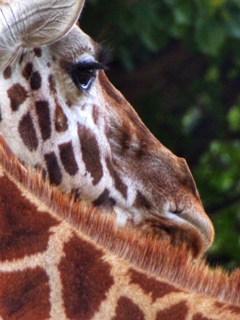 foto:Tere Ramirez   - lo hecho en México