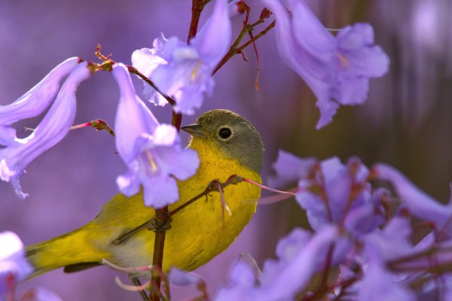 foto:Juan Pablo Fonseca Amaro  - lo hecho en México