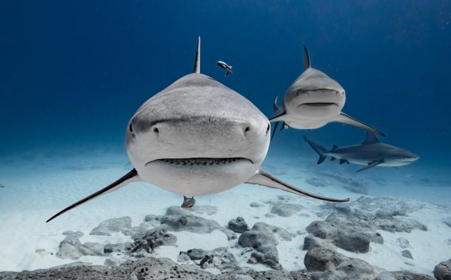 foto:Cecilia Gutiérrez Navarro  - lo hecho en México