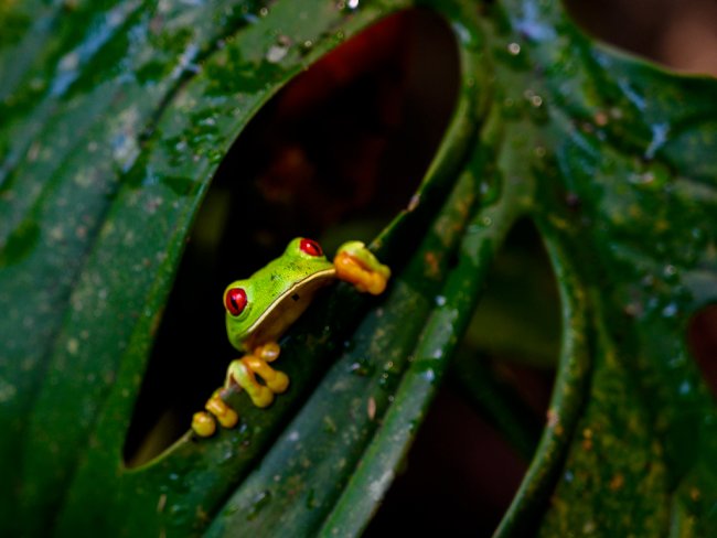 foto:AUGUSTO SERGIO ZAPATA DOMINGUEZ  - lo hecho en México