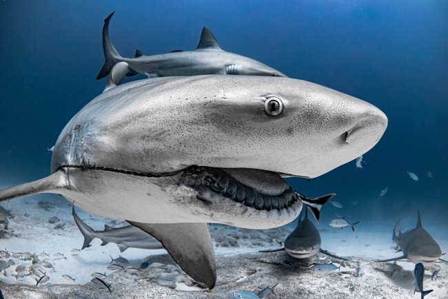 foto:Mizael Palomeque  - lo hecho en México