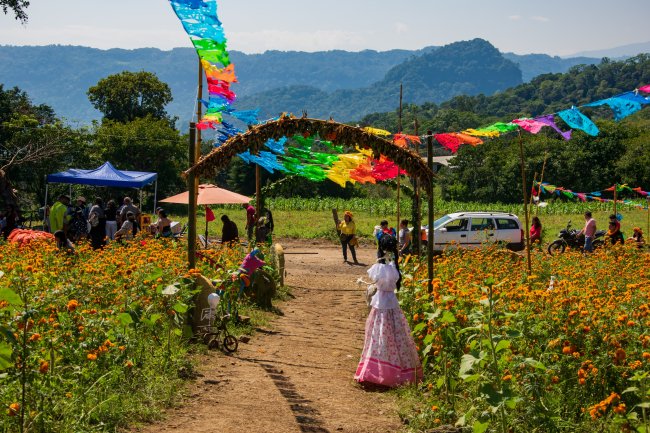 foto:Martin de Jesús Acevedo Hernández   - lo hecho en México