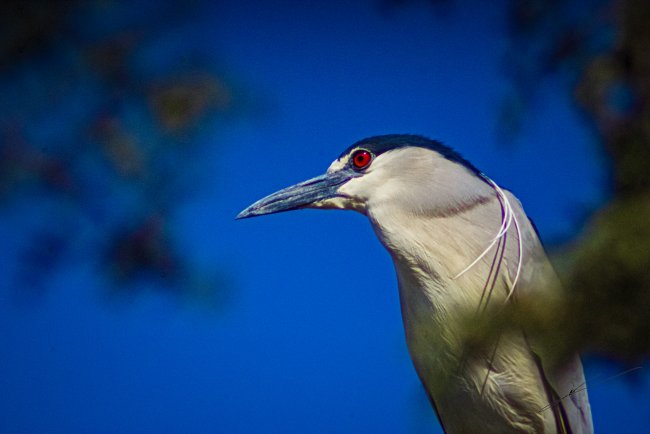 foto:Edy Ruiz Muñoz  - lo hecho en México