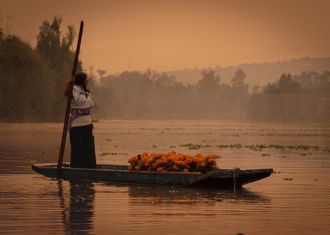 foto:Luis Martin Tenorio Romero  - lo hecho en México