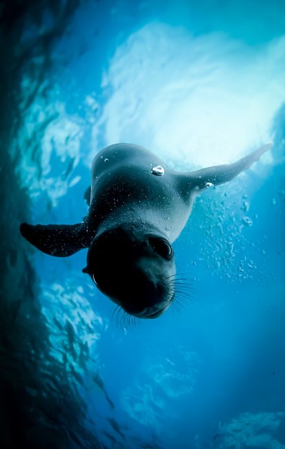 foto:José Alberto Quintero Medina  - lo hecho en México