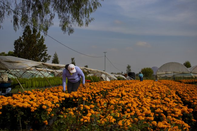 foto:Sandra Michell Zamora Acosta  - lo hecho en México