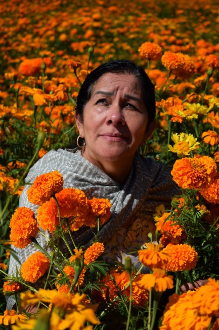 foto:Victor Ignacio Acosta Serrato   - lo hecho en México