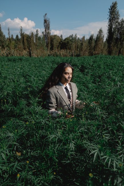 foto:Johan Israel Ruiz Calderon  - lo hecho en México