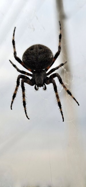 foto:Pam Posadas  - lo hecho en México