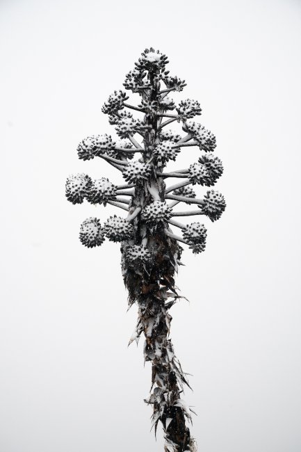 foto:Manlio Martínez Barona  - lo hecho en México