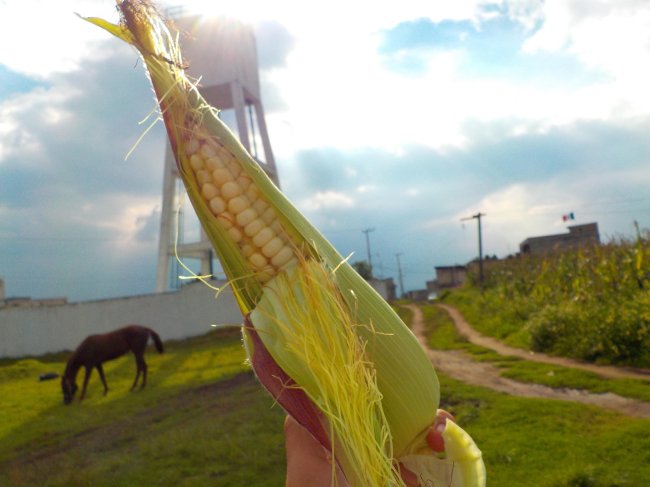 foto:Daniela Aguilar Cristobal   - lo hecho en México