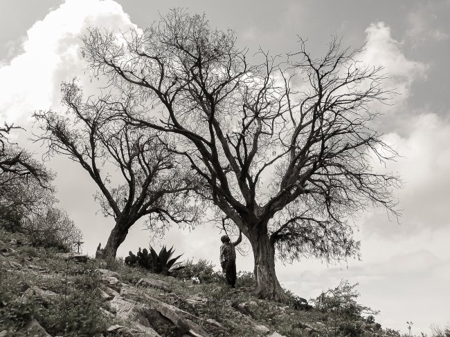 foto:ARELY SAMIRA MARTINEZ GARIBAY  - lo hecho en México