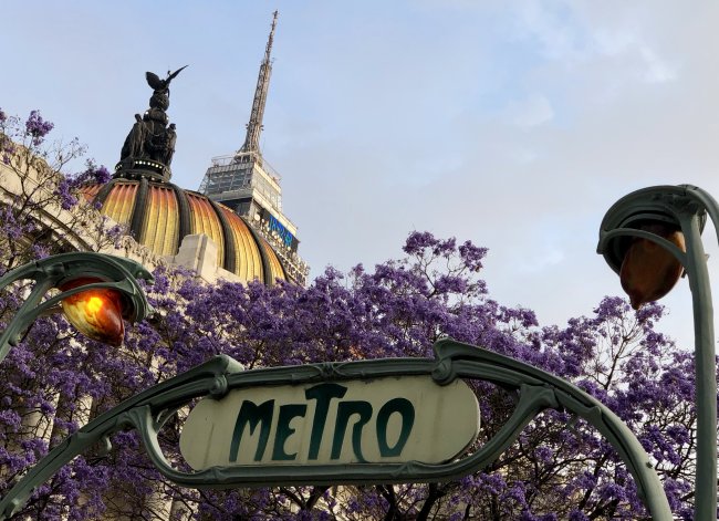 foto:Héctor Adolfo Guerrero Unda  - lo hecho en México