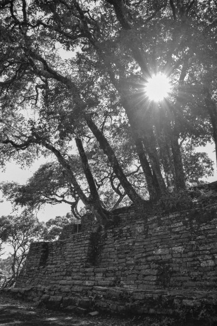 foto:Amanda Esquivel Guzman  - lo hecho en México