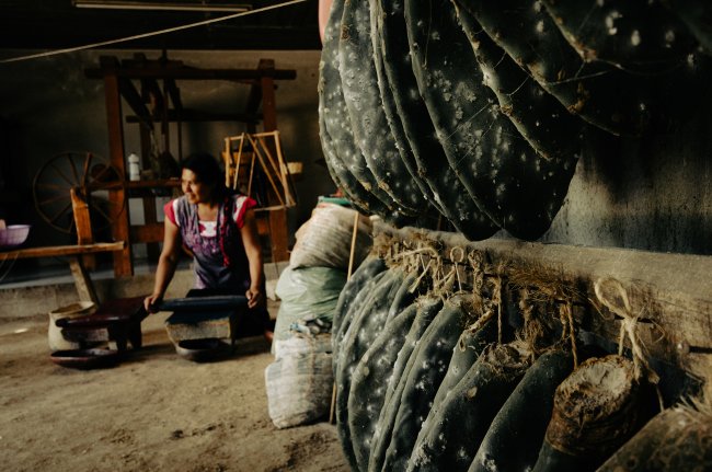 foto:MARÍA VERÓNICA ESCOBAR MORALES  - lo hecho en México