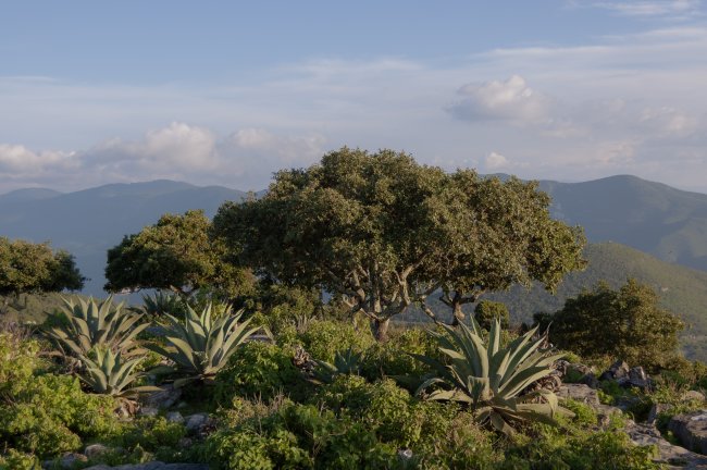 foto:Oanna Sofía García Sánchez  - lo hecho en México