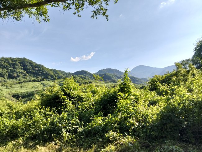 foto:Esmeralda Solis  - lo hecho en México