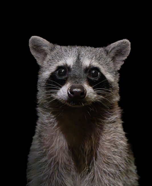 foto:Pedro Emiliano Nieto Altamirano  - lo hecho en México