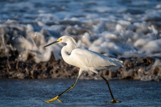 foto:Leonardo Gabriel García Gómez  - lo hecho en México