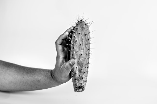 foto:Rodrigo Salgado Benitez  - lo hecho en México