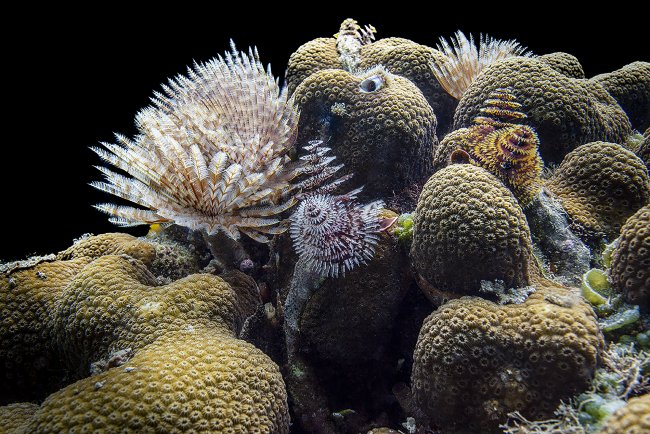 foto:Miguel Shapiro WIgisser  - lo hecho en México