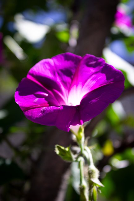 foto:ADRIANA NESSY LOPEZ ORAN  - lo hecho en México