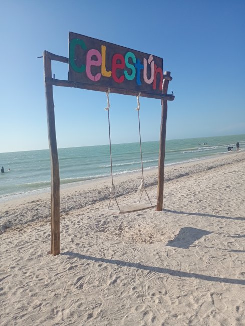 foto:Lizeth Marily Sifuentes Loera   - lo hecho en México