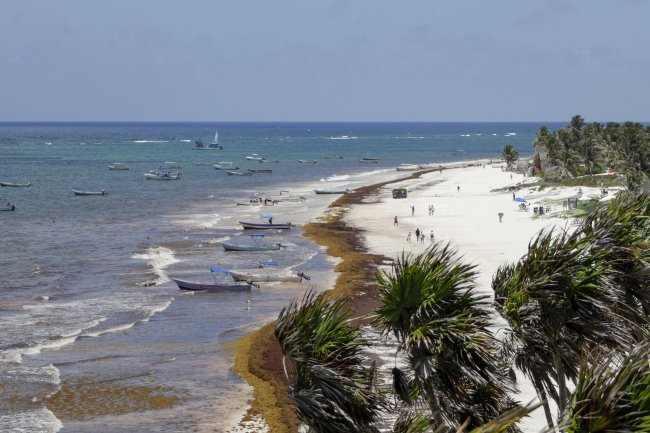 foto:Paola Adriana García Ruiz - lo hecho en México