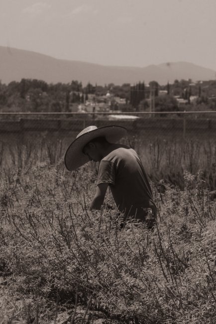 foto:Itzel Andrea Ontiveros Rosas  - lo hecho en México