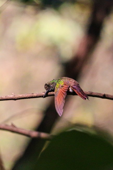 foto:Adriana Hernández Rojas  - lo hecho en México