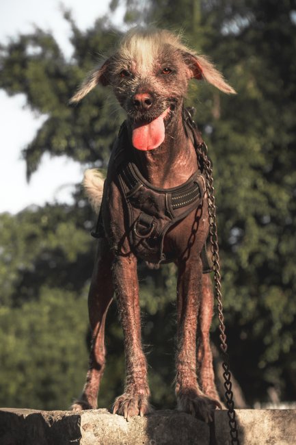 foto:Leslie Fuentes Chaparro  - lo hecho en México