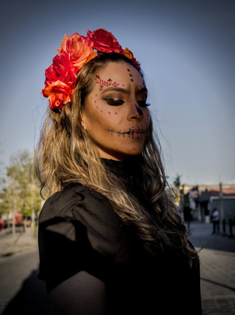 foto:Guillermo Verdugo Robles  - lo hecho en México