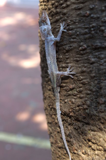foto:Edith Castrejón Martínez - lo hecho en México