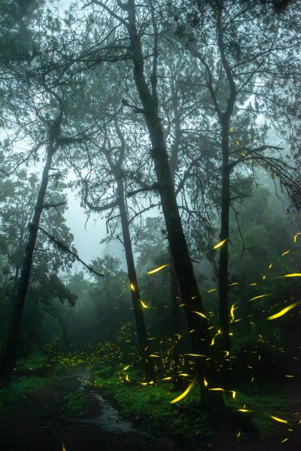 foto:Claudio David Briones Orta  - lo hecho en México
