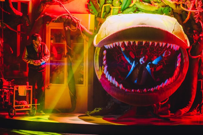 foto:Gabriel Pelusi De Icaz   - lo hecho en México