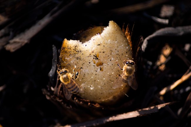 foto:Alejandro Albarran - lo hecho en México