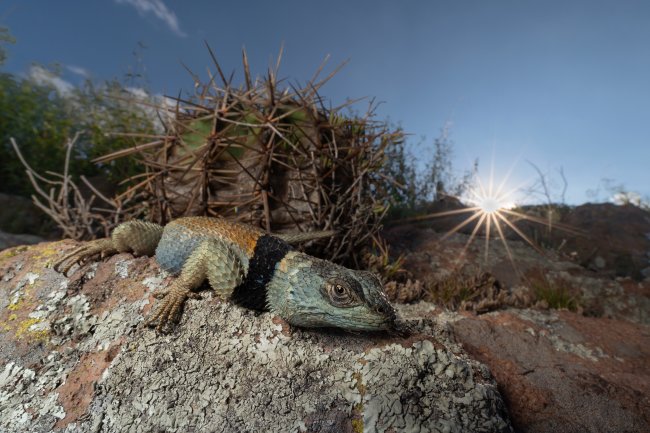 foto:Luis Ulises Ruiz Arroyo - lo hecho en México